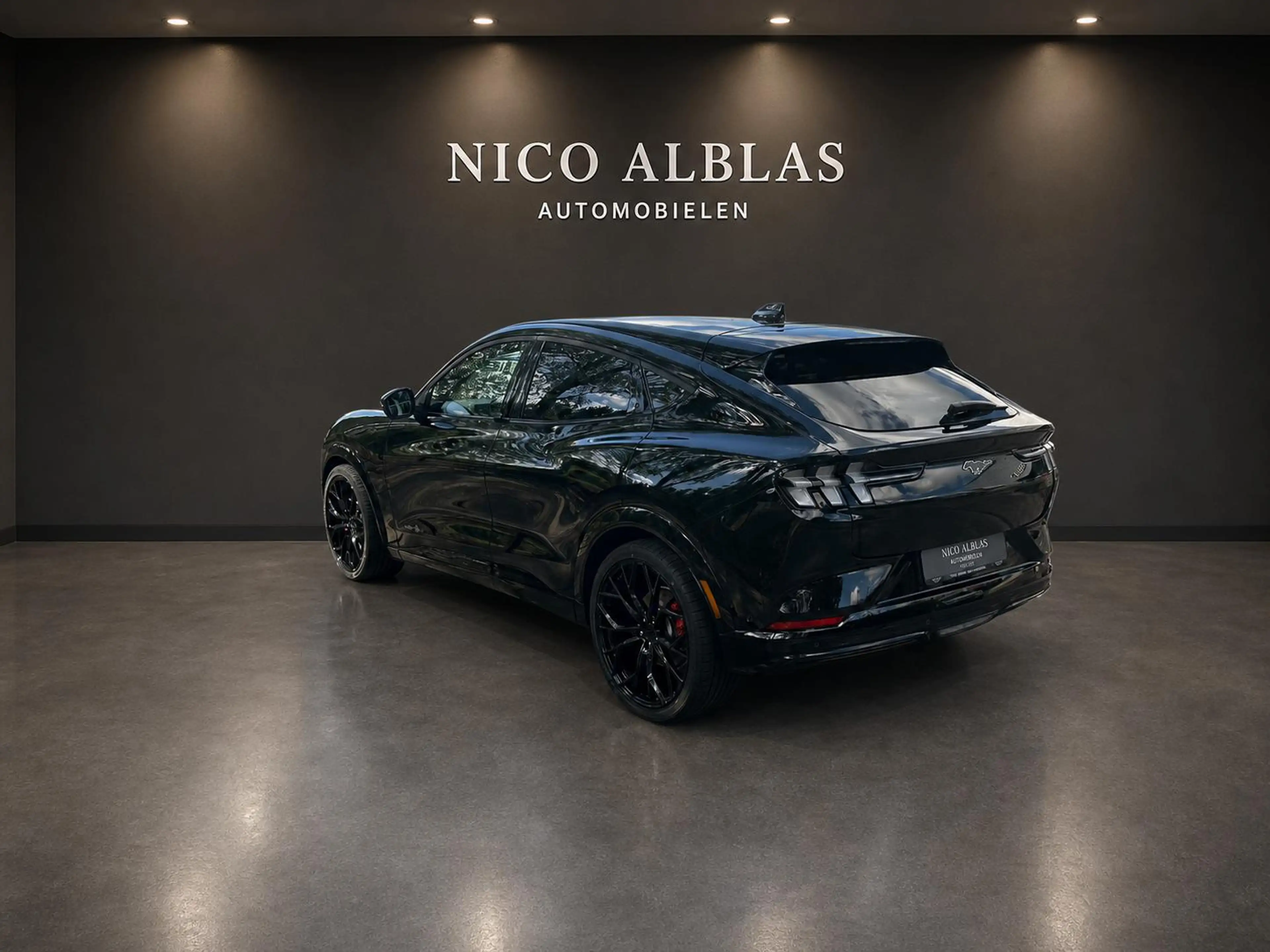 Ford Mustang Mach-E Extended First Edition AWD 91 kWh — photo 9