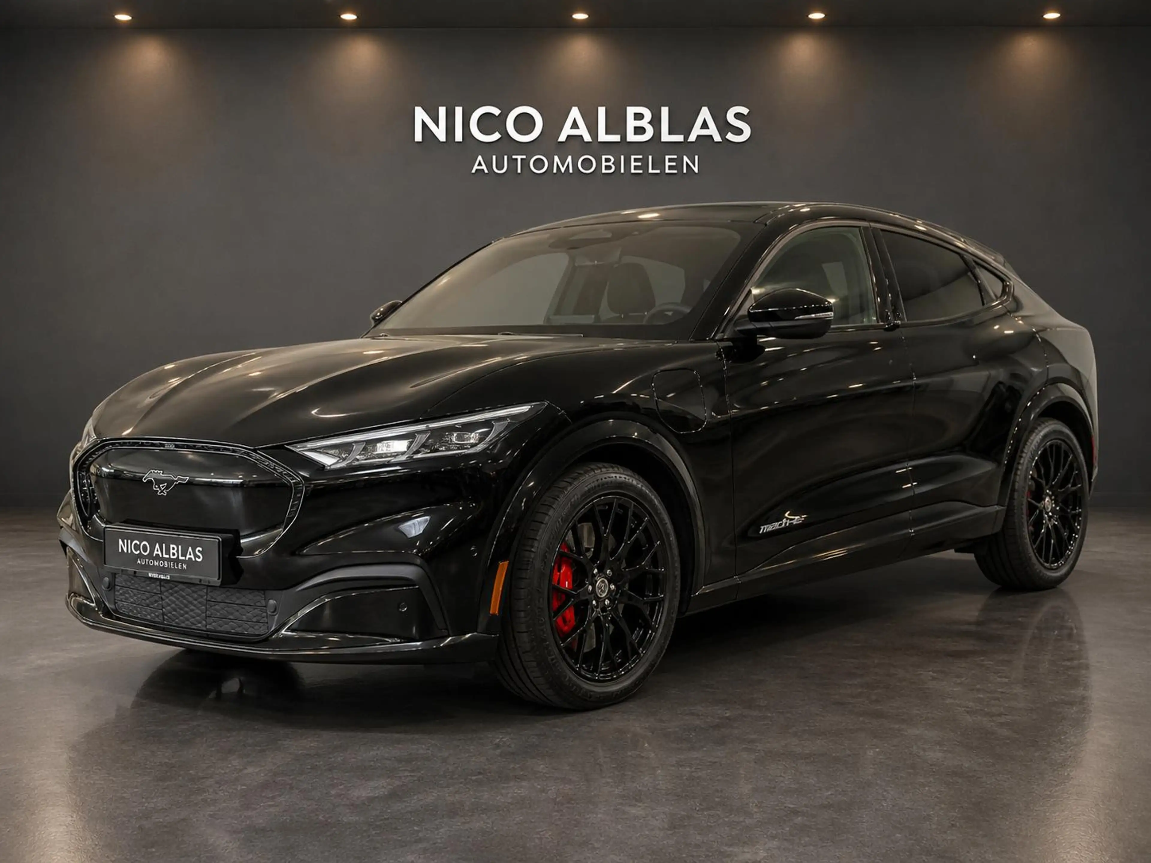 Ford Mustang Mach-E Extended First Edition AWD 91 kWh — photo 6