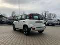 Fiat New Panda City Plus 1.0 Hybrid *5 Sitzer Sitzh.* White - thumbnail 2