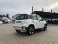 Fiat New Panda City Plus 1.0 Hybrid *5 Sitzer Sitzh.* Blanc - thumbnail 3