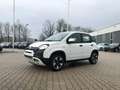 Fiat New Panda City Plus 1.0 Hybrid *5 Sitzer Sitzh.* Білий - thumbnail 1