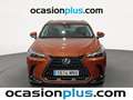 Lexus NX 350h Business City 4WD Naranja - thumbnail 14