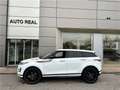 Land Rover Range Rover Evoque Mark III P300e PHEV AWD BVA8 R-Dynamic SE Weiß - thumbnail 2