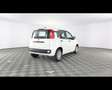 Fiat Panda 1.0 FireFly Hybrid Bianco - thumbnail 8