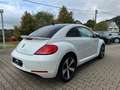 Volkswagen Beetle The Beetle 2.0 TDI DPF BMT Allstar Xenon LED Navi Blanc - thumbnail 4