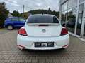 Volkswagen Beetle The Beetle 2.0 TDI DPF BMT Allstar Xenon LED Navi Blanc - thumbnail 5
