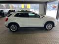 Mercedes-Benz GLA 200 GLA 200 CDI 4MATIC Edition Lifestyle Aut. Edition Weiß - thumbnail 6