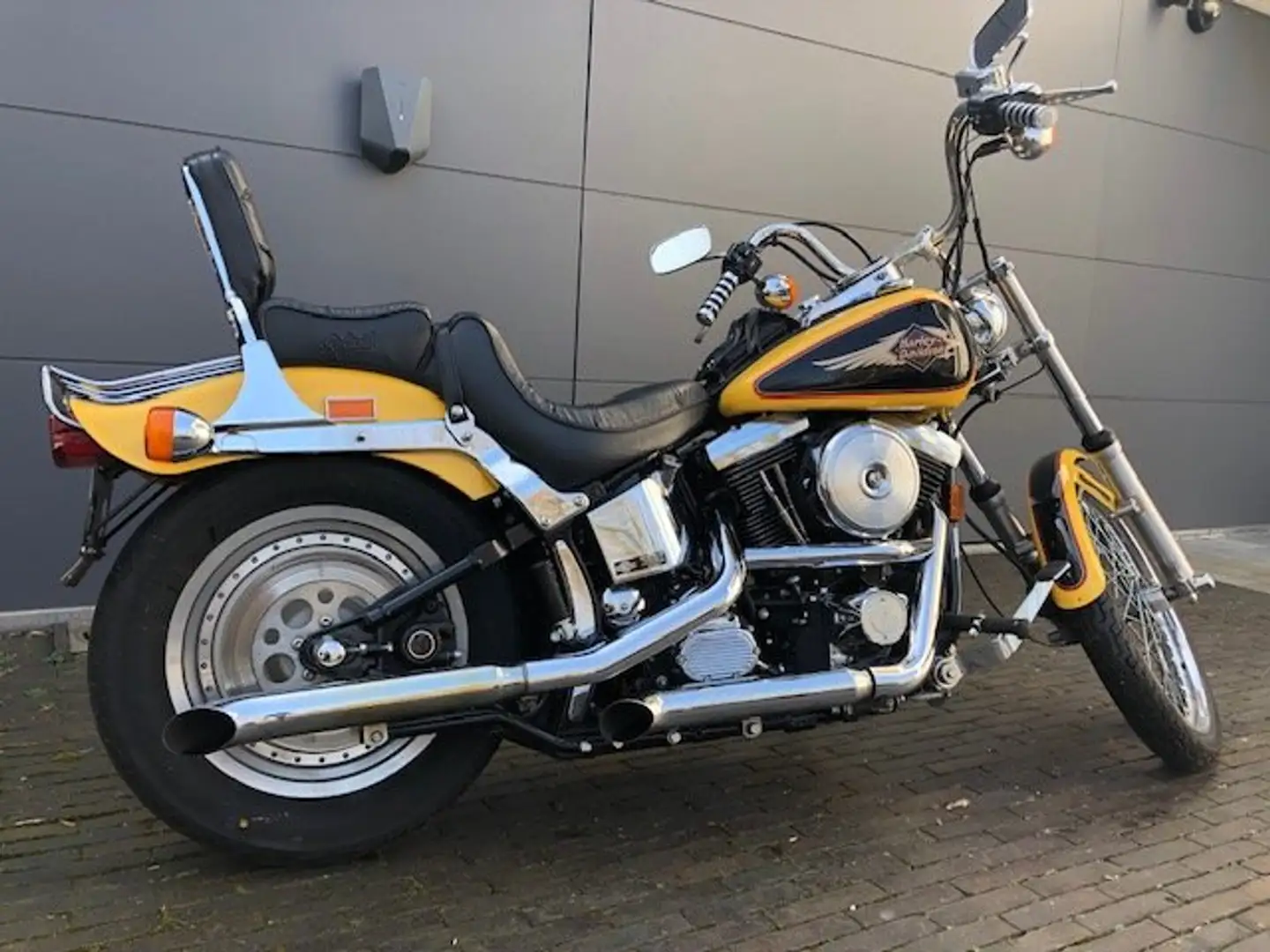 Harley-Davidson Softail Softail Custom Jaune - 2