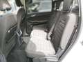 Ford Galaxy 2,0 EcoBlue SCR Business Blanc - thumbnail 9