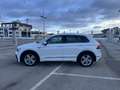 Volkswagen Tiguan Tiguan 2,0 TDI SCR 4Motion Highline DSG Highline Weiß - thumbnail 3