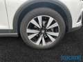 SEAT Arona 1.0TSI Beats Fast Lane LED Navi SHZ Rear View Weiß - thumbnail 8