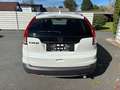 Honda CR-V 2,2 iDTEC EleLifAT Blanc - thumbnail 5
