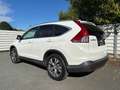 Honda CR-V 2,2 iDTEC EleLifAT Blanc - thumbnail 6
