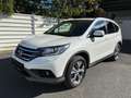 Honda CR-V 2,2 iDTEC EleLifAT Blanc - thumbnail 1