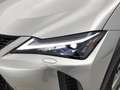 Lexus UX 300h 35th Edition | Elektrische Achterklep | Stoelverwa Grau - thumbnail 45