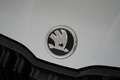Skoda Kamiq 1.5 TSI ACT Sport Business | Camera | Stoelverwarm Wit - thumbnail 7