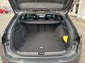 Volkswagen Passat Variant R-Line Business 1.5 eTSI DSG PANO Sportpaket AHK N Grau - thumbnail 13