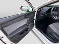 SEAT Leon 1.0TSI Style LED Navi CAM Sitzh APP-Connect Weiß - thumbnail 14
