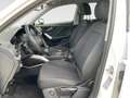 Audi Q2 30 2.0 TDI AHK RFK ASI Alb - thumbnail 8