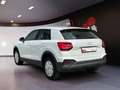 Audi Q2 30 2.0 TDI AHK RFK ASI Alb - thumbnail 4