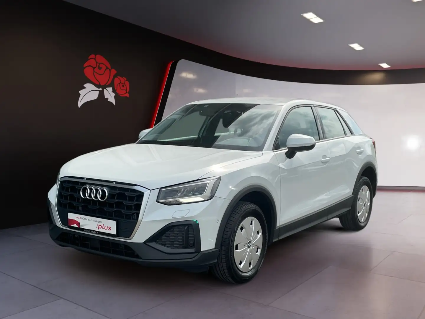 Audi Q2 30 2.0 TDI AHK RFK ASI Wit - 2