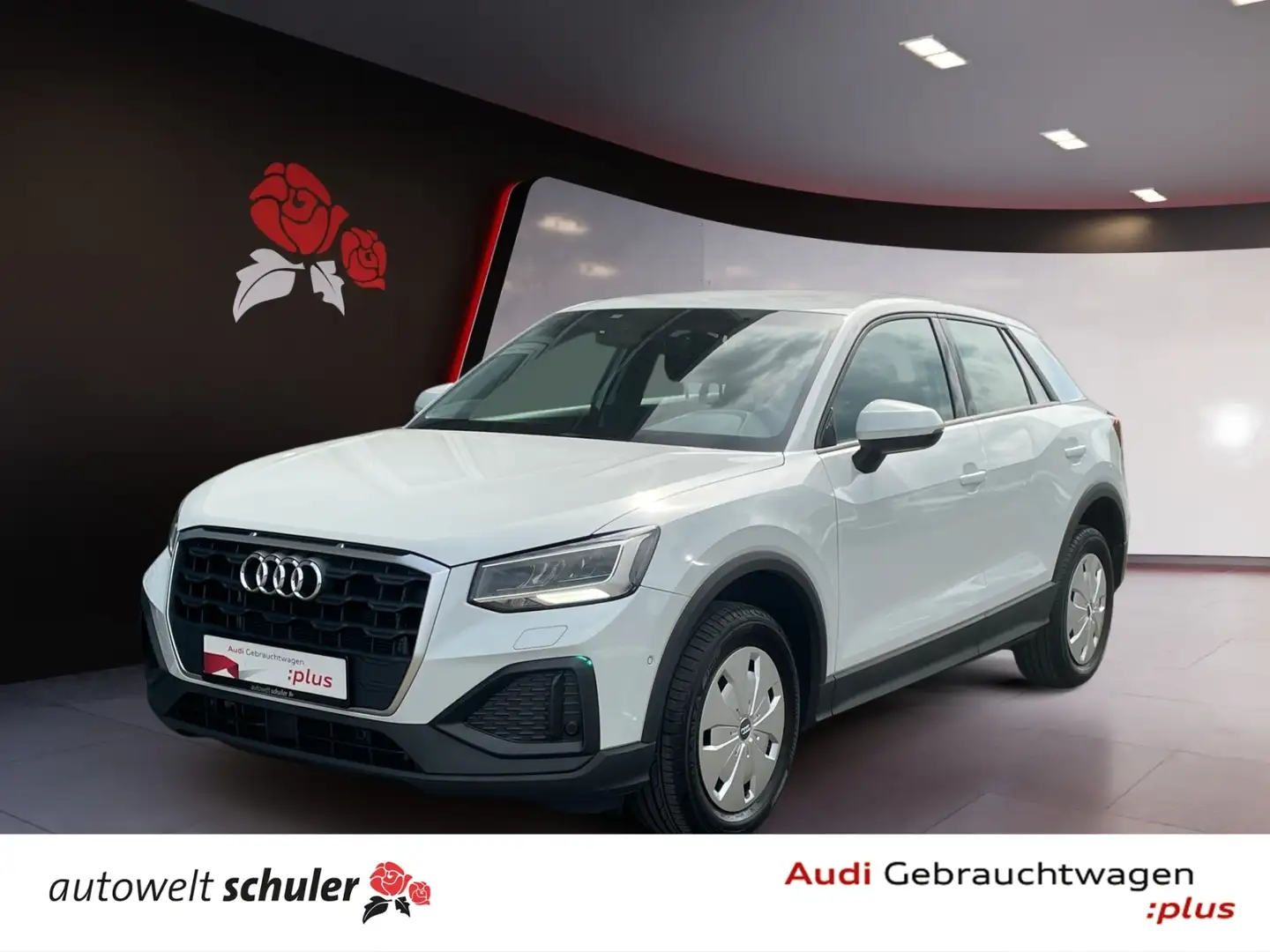 Audi Q2 30 2.0 TDI AHK RFK ASI Wit - 1