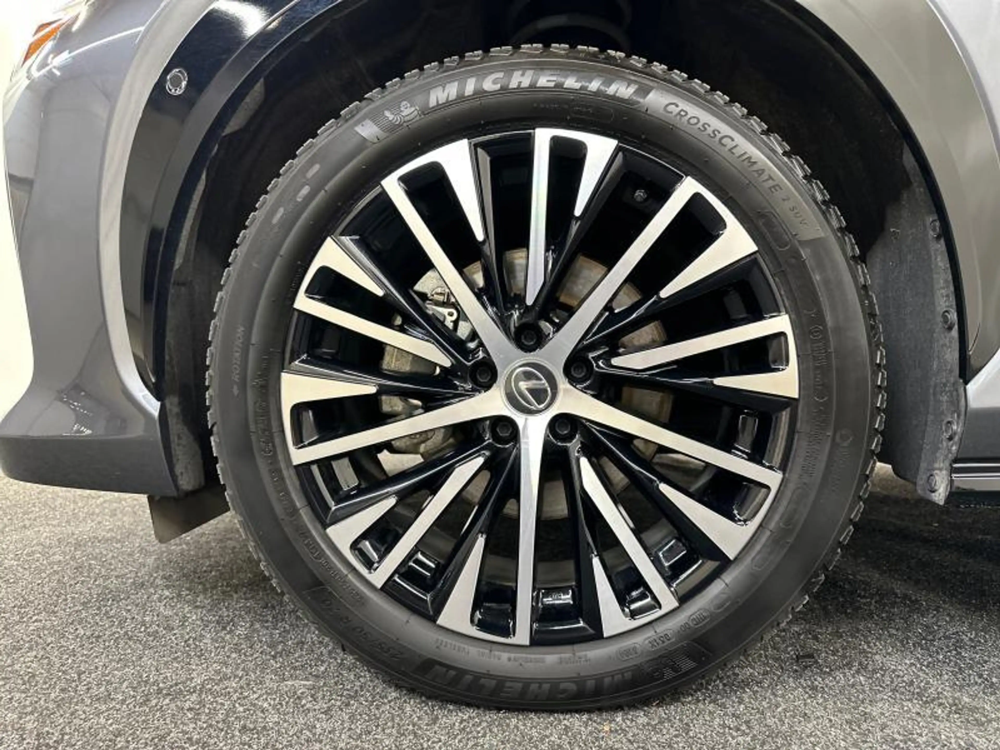 Lexus RZ Privilege Line — photo 13