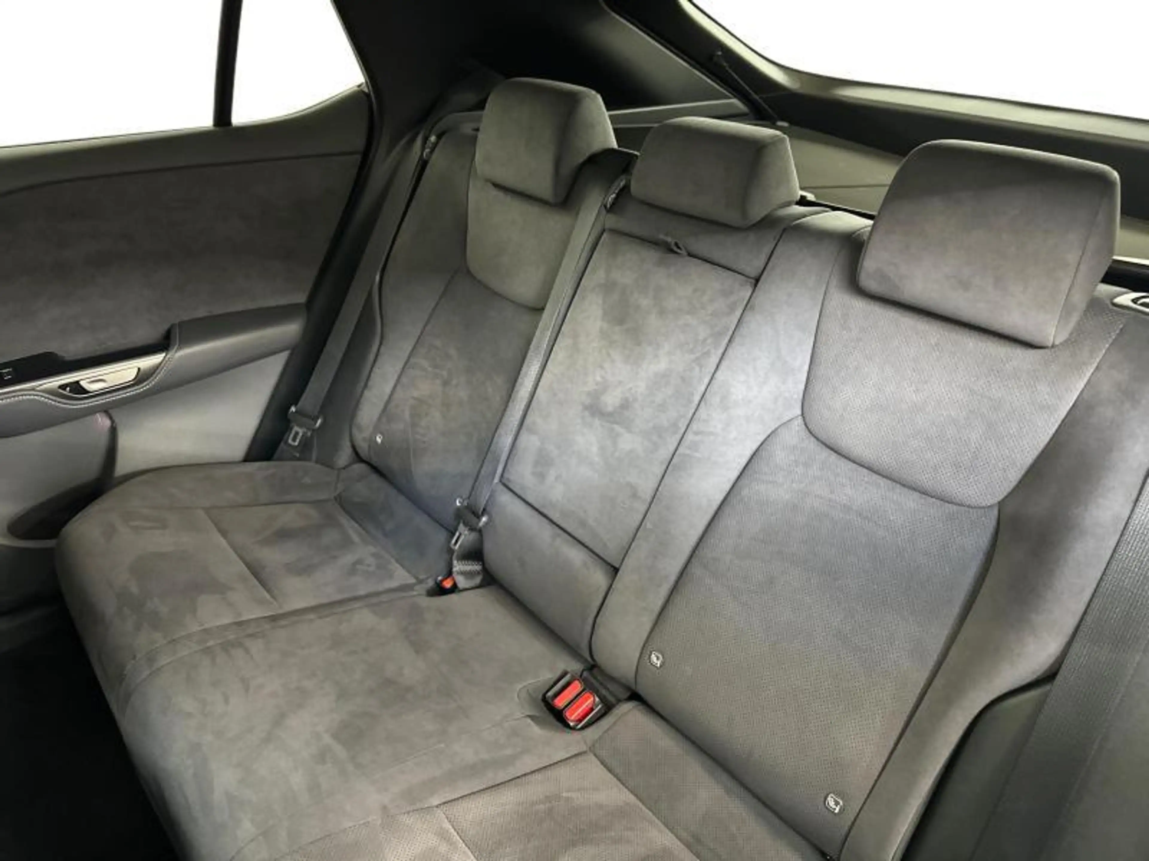 Lexus RZ Privilege Line — photo 10