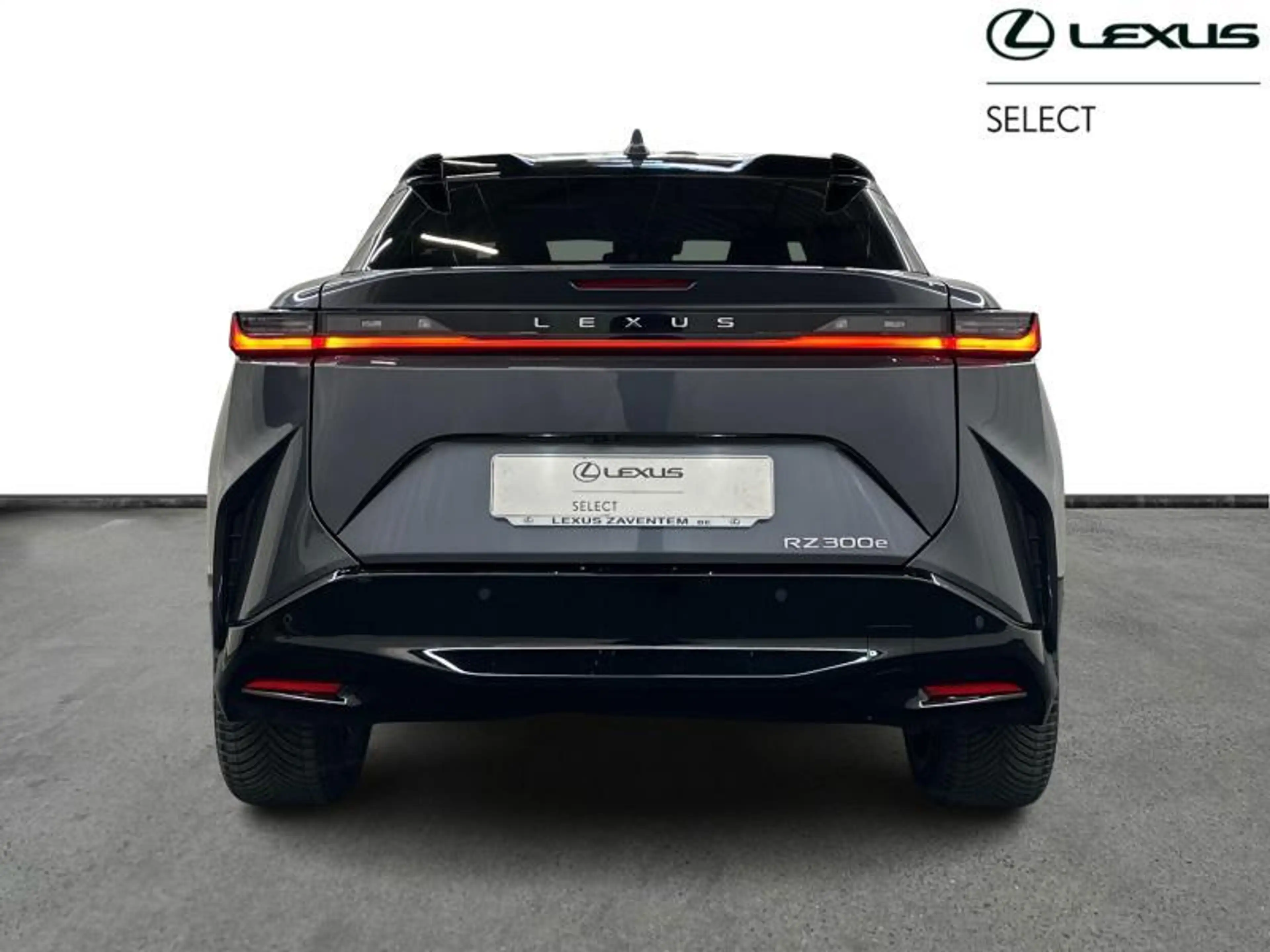 Lexus RZ Privilege Line — photo 4