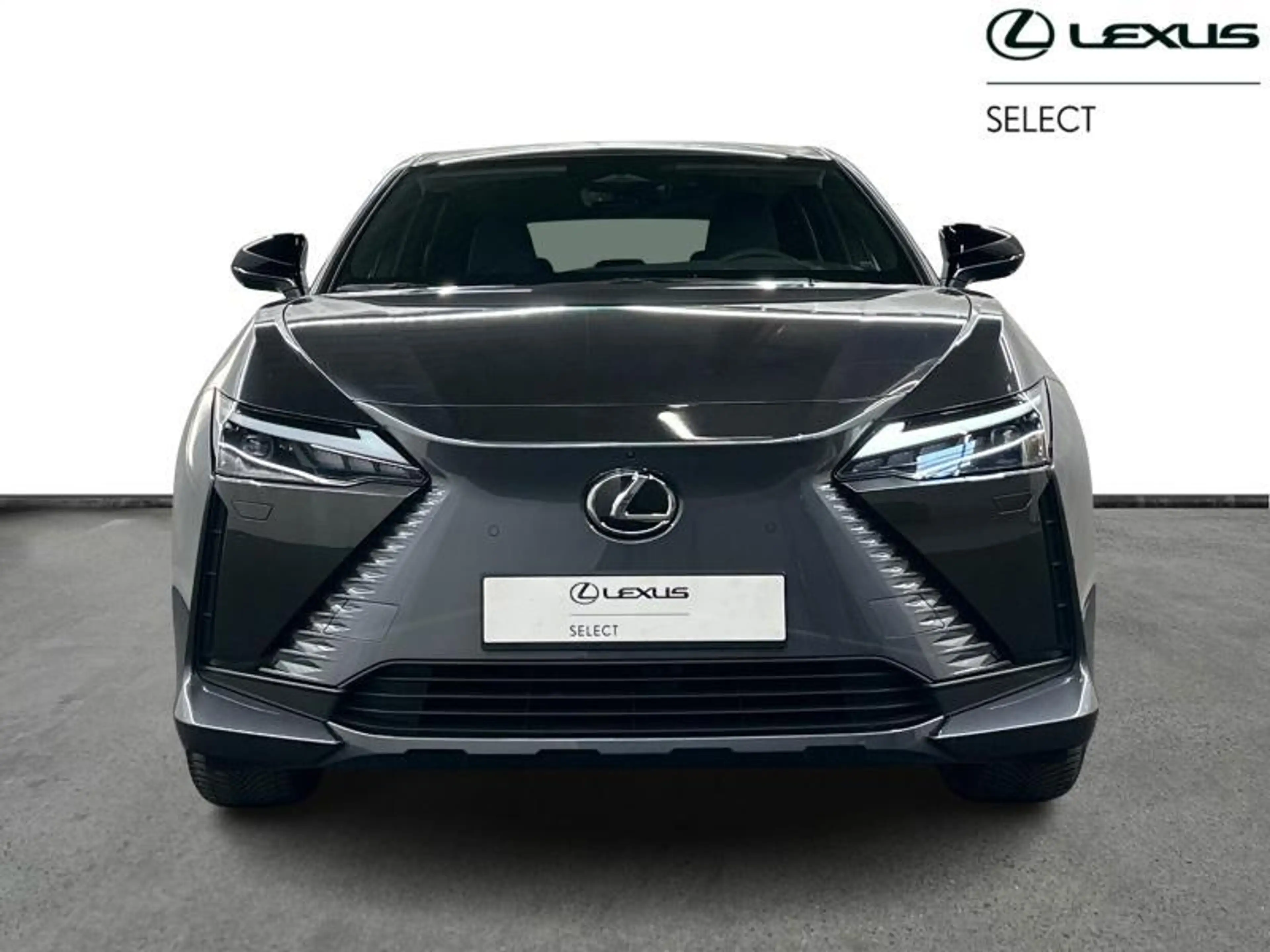 Lexus RZ Privilege Line — photo 5
