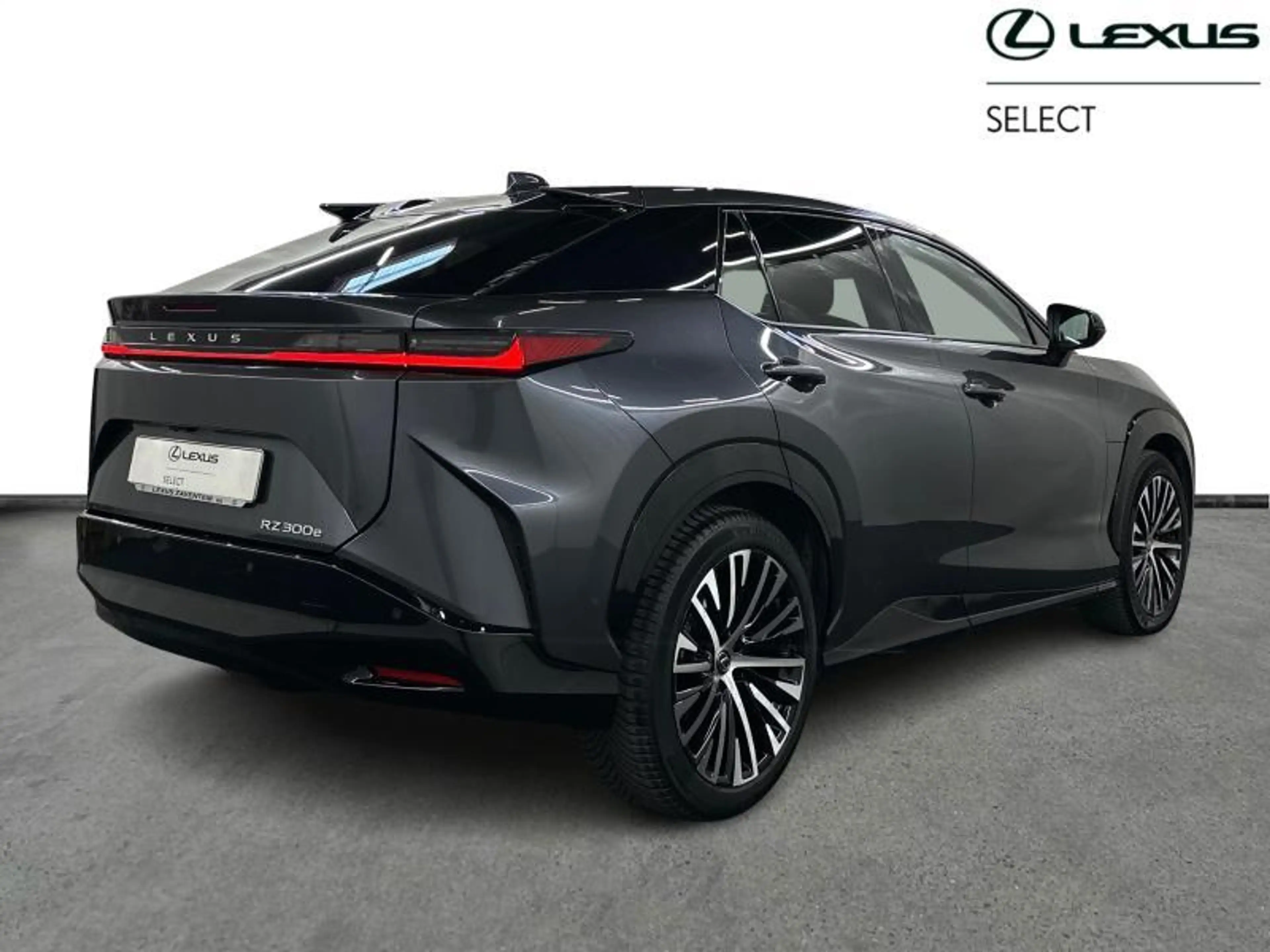 Lexus RZ Privilege Line — photo 15
