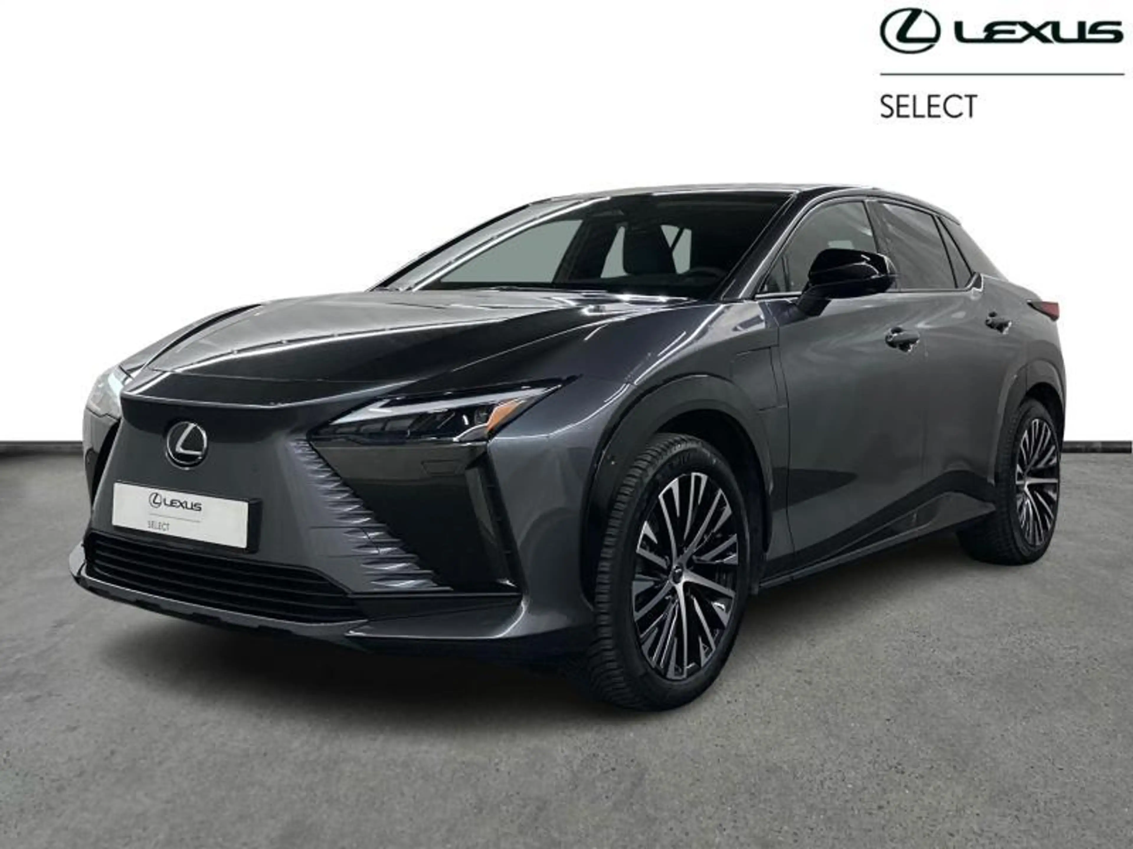 Lexus RZ Privilege Line