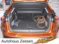 Citroen C4 KLIMA LED NAVI HUD KAMERA PDC Braun - thumbnail 17
