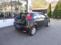 Fiat Punto 1.2 LOUNGE Neopatenati Nero - thumbnail 2