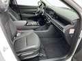 Hyundai TUCSON TUCSON PHEV(MY25) 4WD 1.6 T-GDi (252 PS) TREND Weiß - thumbnail 8