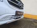 Mercedes-Benz Vito 119 CDI Mixto 4x4 IGLHAUT Line Sport+STHZG+LED Weiß - thumbnail 14