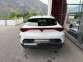 CUPRA Formentor 2.0 TSI 204 PS DSG 4Drive Weiß - thumbnail 5