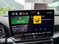 CUPRA Formentor 2.0 TSI 204 PS DSG 4Drive Weiß - thumbnail 15