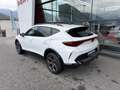 CUPRA Formentor 2.0 TSI 204 PS DSG 4Drive Weiß - thumbnail 4
