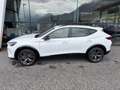 CUPRA Formentor 2.0 TSI 204 PS DSG 4Drive Weiß - thumbnail 3