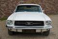 Ford Mustang Coupe Factory AC, Automatic gearbox, very nice ove Wit - thumbnail 4