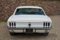 Ford Mustang Coupe Factory AC, Automatic gearbox, very nice ove Wit - thumbnail 7