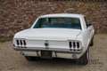 Ford Mustang Coupe Factory AC, Automatic gearbox, very nice ove Wit - thumbnail 12