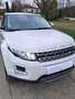 Land Rover Range Rover Evoque Range Rover Evoque Mark II eD4 Prestige Blanc - thumbnail 5