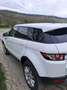 Land Rover Range Rover Evoque Range Rover Evoque Mark II eD4 Prestige Blanc - thumbnail 6