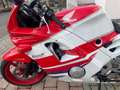 Honda CBR 600 crvena - thumbnail 5