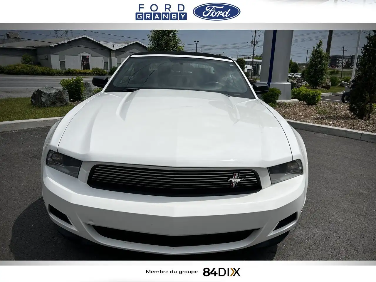 Ford Mustang photo Ford Mustang