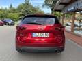 Mazda CX-5 Advantage Diesel*360°Kamera*Voll-LED*Head-Up*Tempo Rot - thumbnail 5