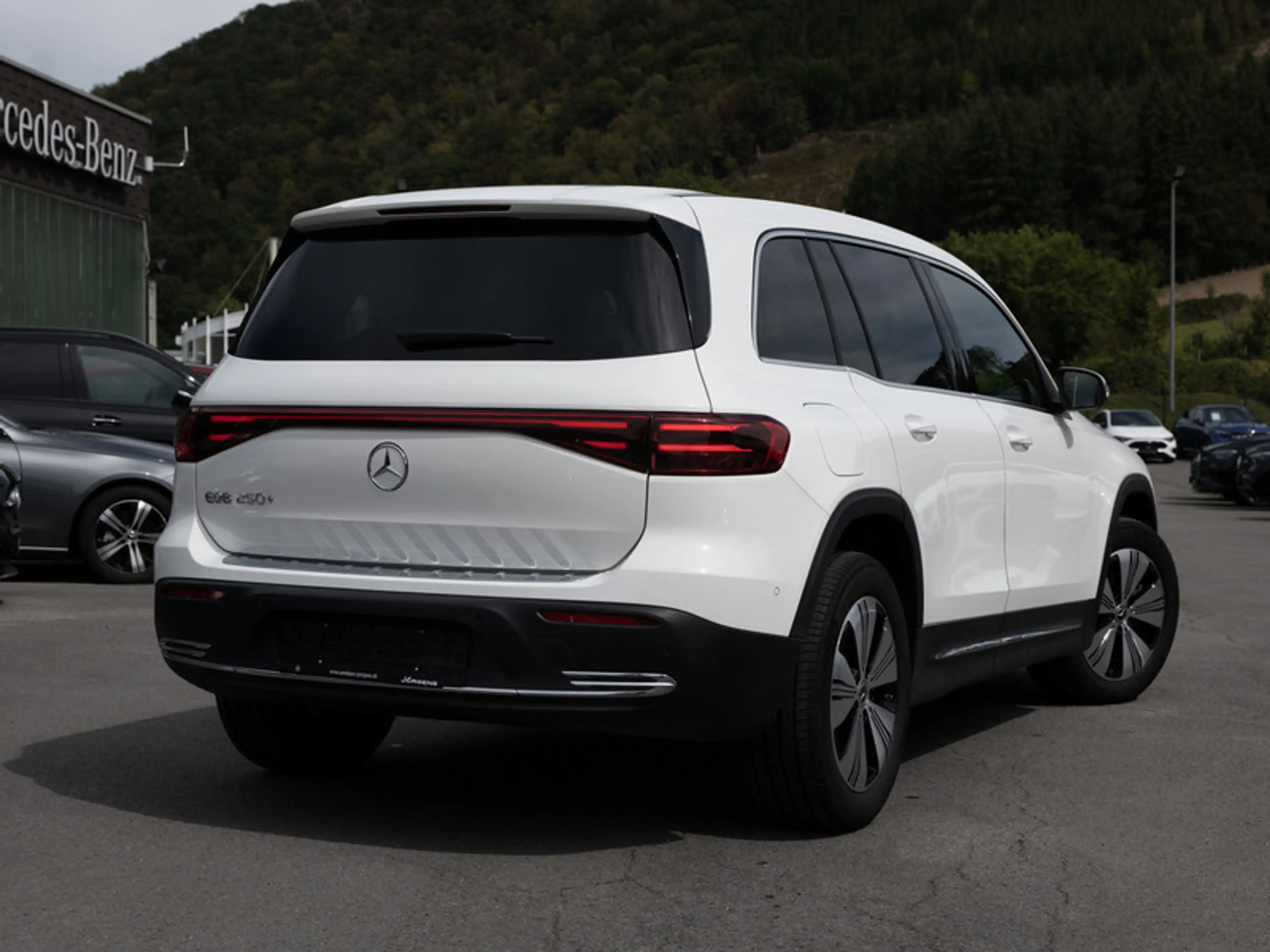 Mercedes-Benz EQB 250 + Progressive/LED/Cam/Totw/Winter/7Sitze — photo 4