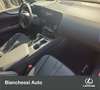 Lexus NX 350h Hybrid 4WD F-Sport Verde - thumbnail 8